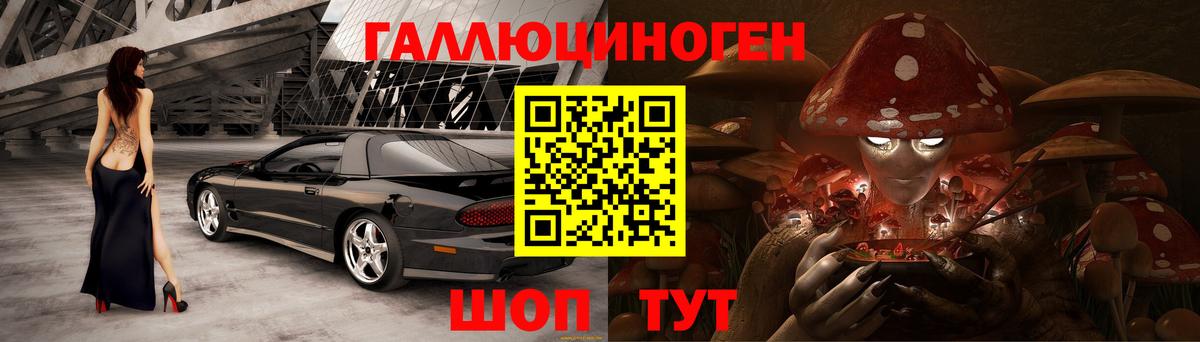 Галлюциногенные грибы Psilocybine cubensis Клинцы